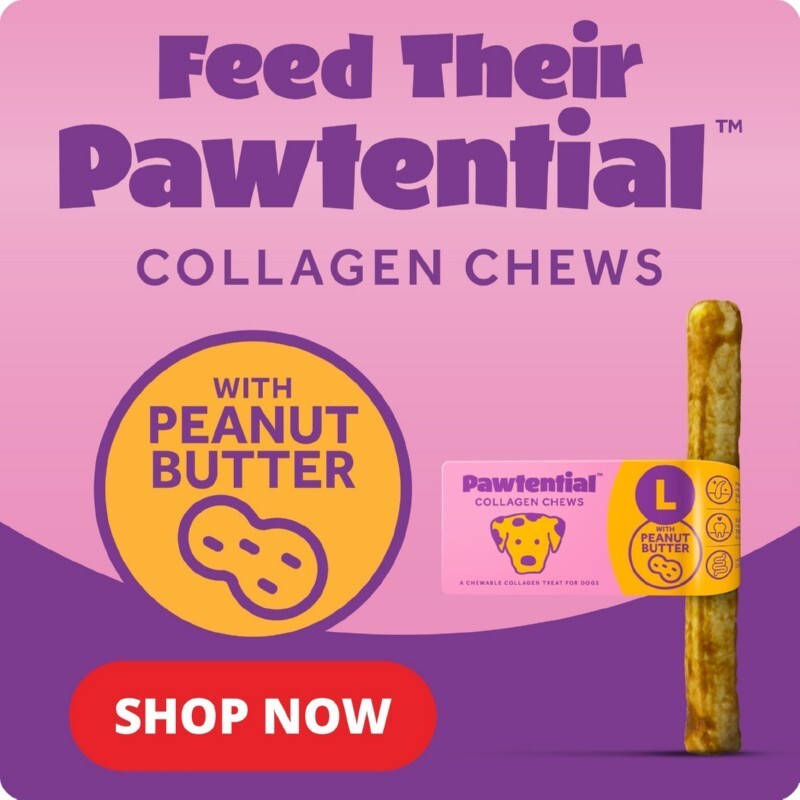 P9 pawtential