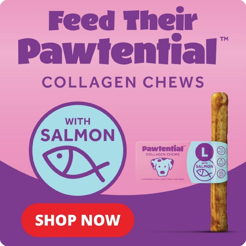 p9 pawtential