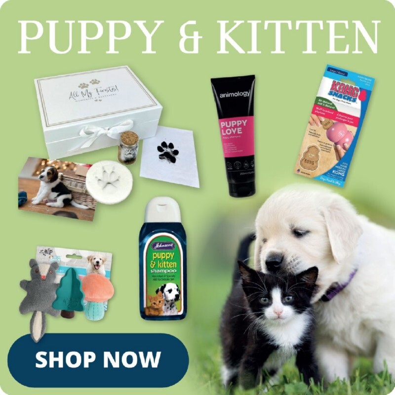 P3_homepage_bottom_row_3_cat_spotlight