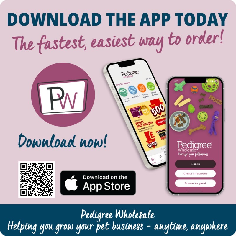 P3_2026_lower_1_apple_app