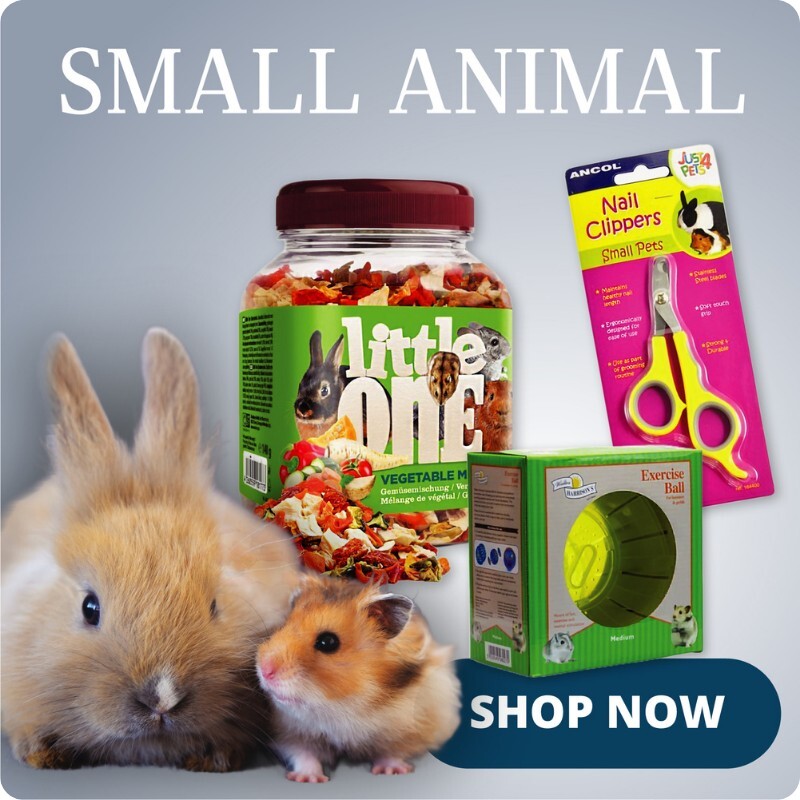 P3_homepage_bottom_row_3_cat_spotlight