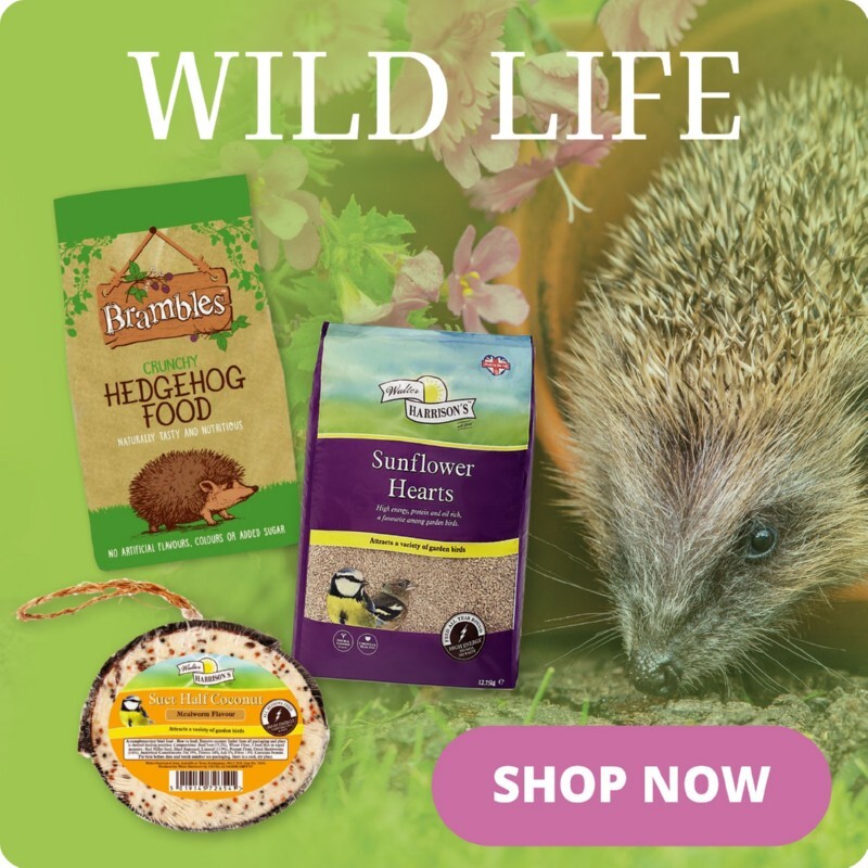 P5_homepage_bottom_row_3_cat_spotlight