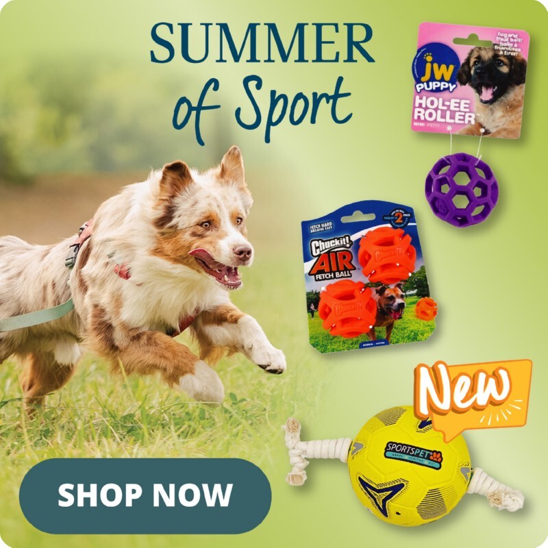 P5_homepage_bottom_row_3_summer-sport
