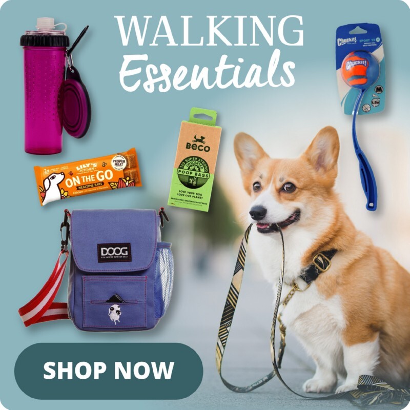 P7-walking-essentials