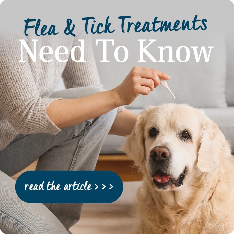 P8-flea-tick-need-to-know