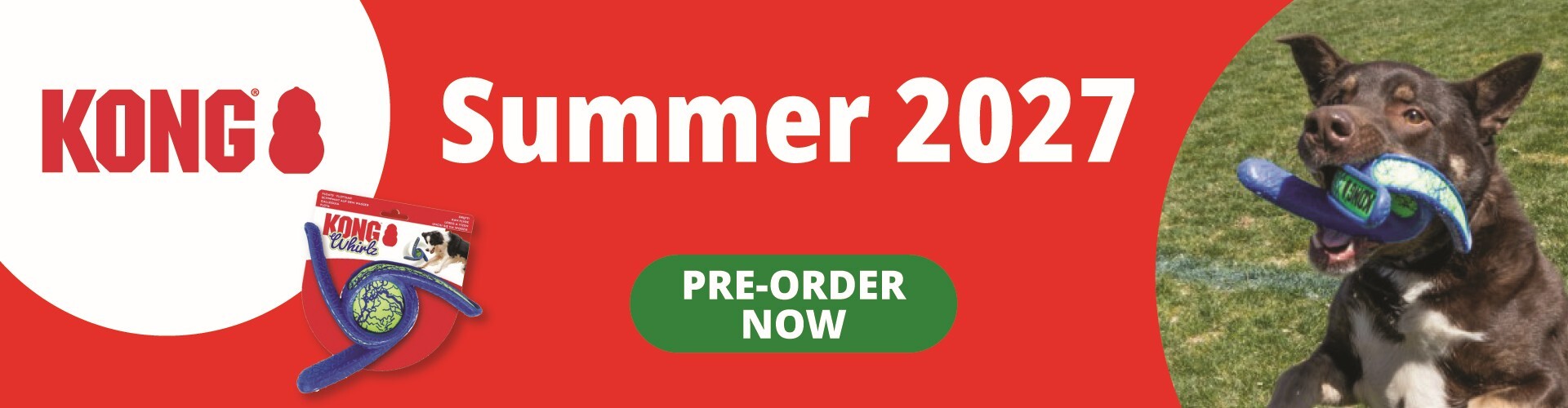 KONG pre order 2027