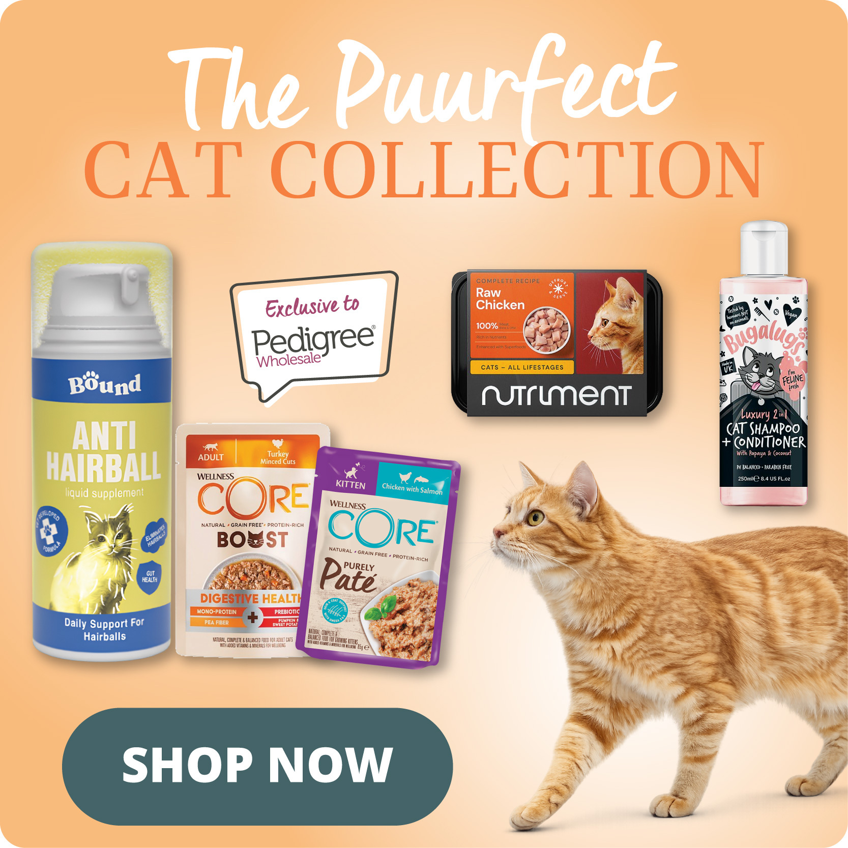 P5_homepage_bottom_row_3_purrfect_cat_collection