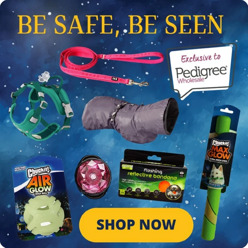 P10_homepage_bottom_row_3_be_safe_be_seen