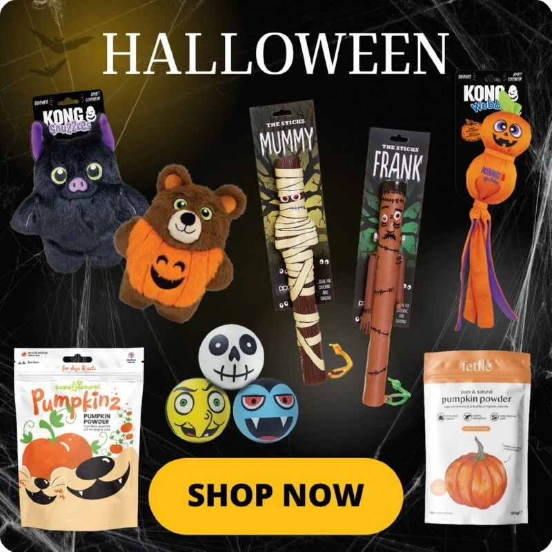 P10-halloween