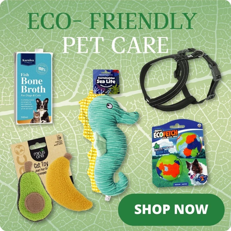 P10_homepage_bottom_row_3_eco-friendly