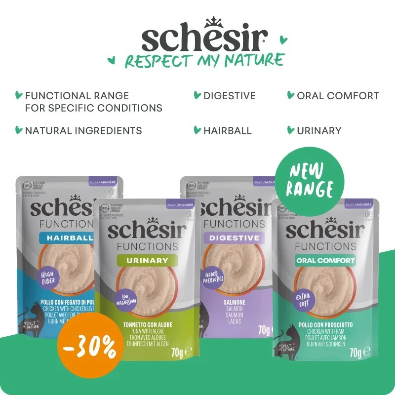 P11-schesir
