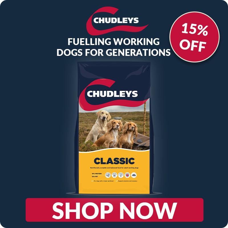 P11_2025_chudleys