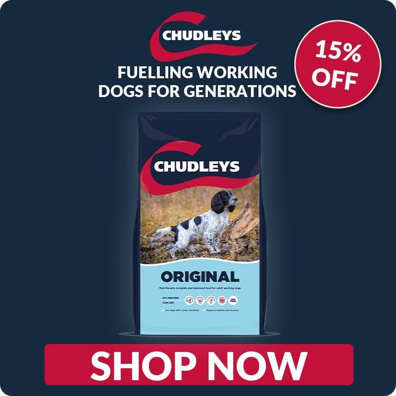 P11_2025_chudleys