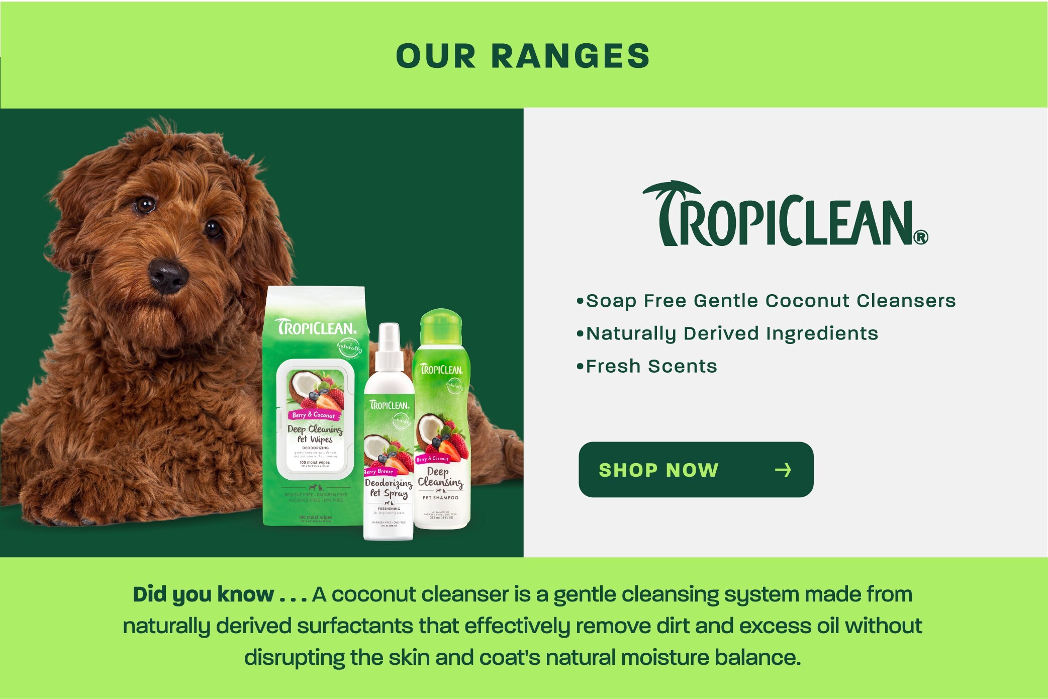 tropiclean