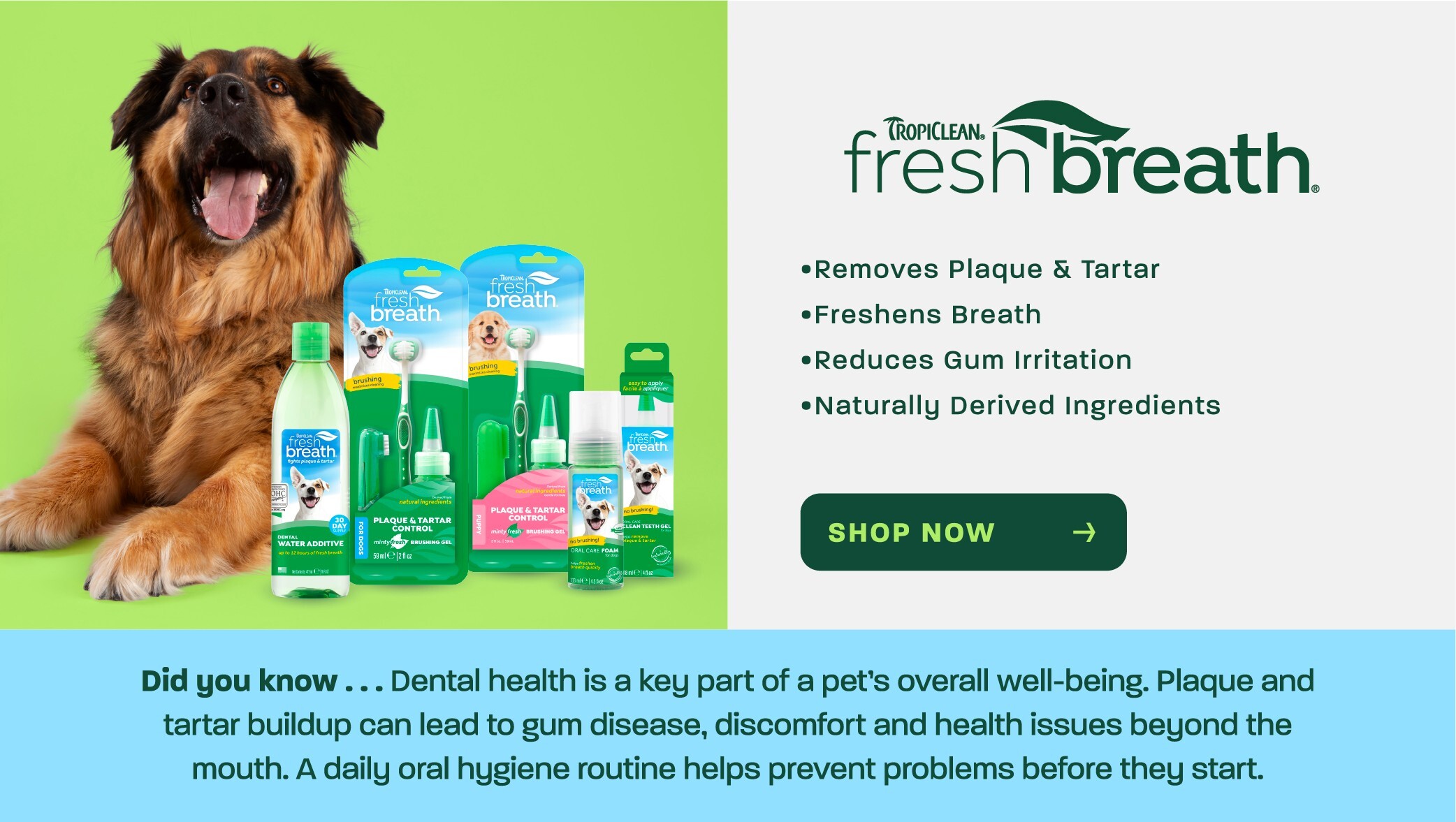 tropiclean-fresh-breath