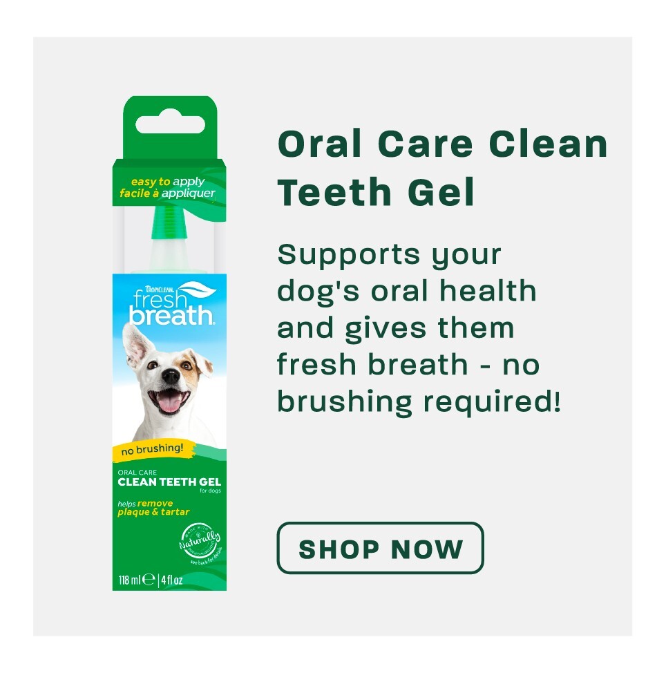 tropiclean-oral-care