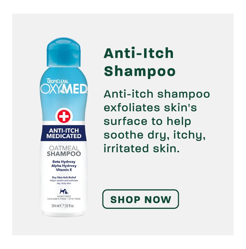 oxymed-anti-itch-shampoo
