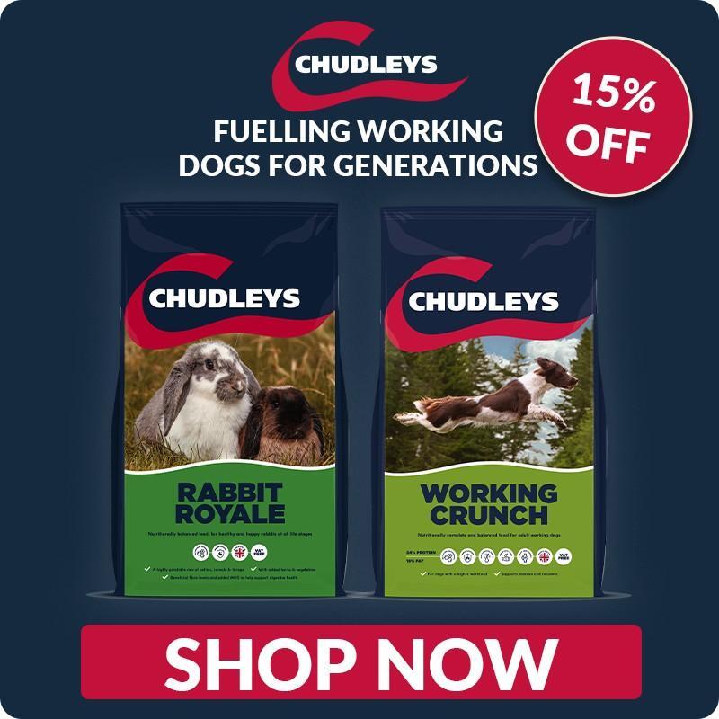 P8_2025_chudleys