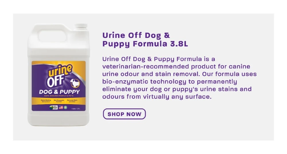 urine off dog and puppy formula 3.8L