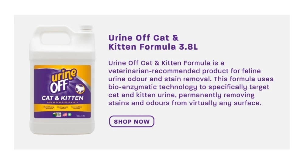 urine off cat and kitten formula 3.8L
