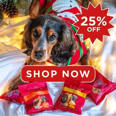 P13 Coya Online Only