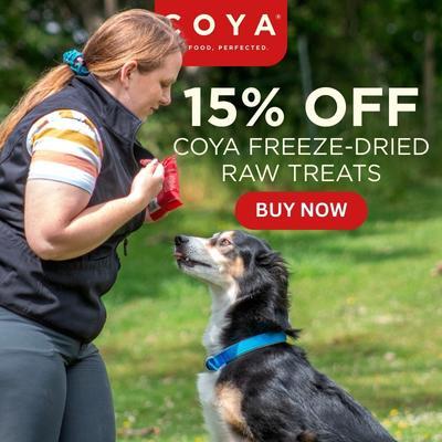 P12 COYA Online Only Offers