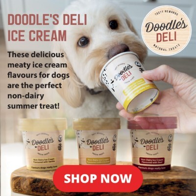 P5 Offers Doodles Deli Ice Cream