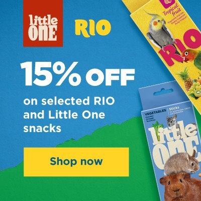 P8 Offers RIO and Little One