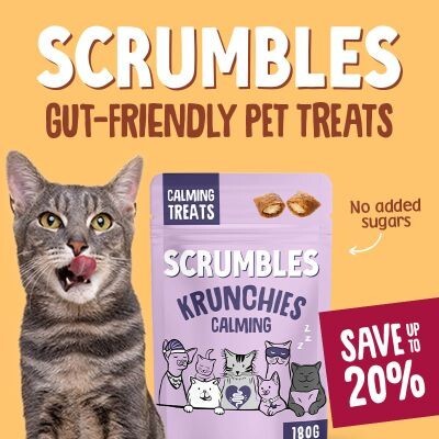 P6 Offers Scrumbles - online only