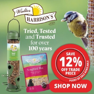 P7 Offers Walter Harrisons