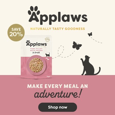 P6 Offers Applaws