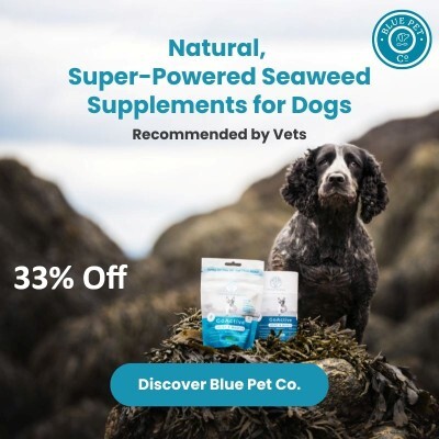 P12 Blue Pet Online Only Offers