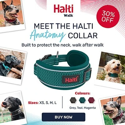 New Halti Anatomy