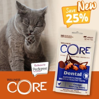 New Wellness Core Dental