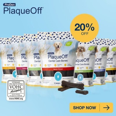 P2 Online Only Offers Plaque Off