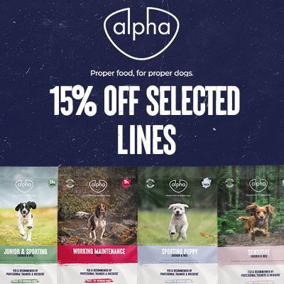 P10 Alpha Online Only offers