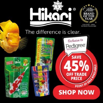 P7 Offers Hikari