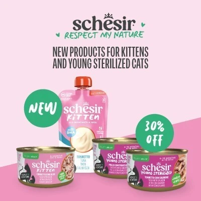 P12 Schesir