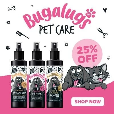 P6 Bugalugs Offers
