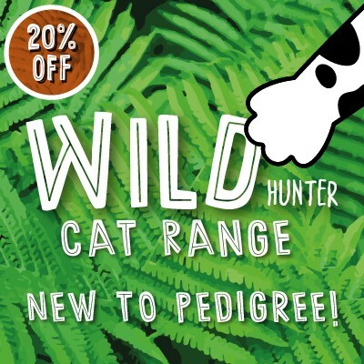 P6 New Wild Hunter