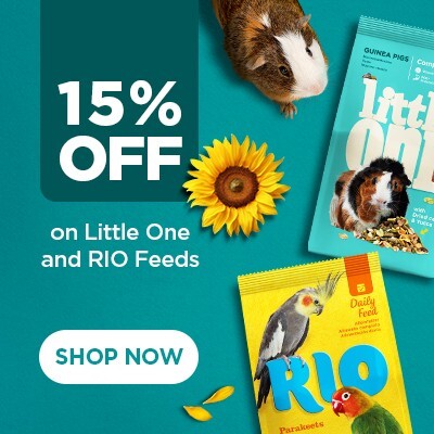 P10 Offers Rio, Little One