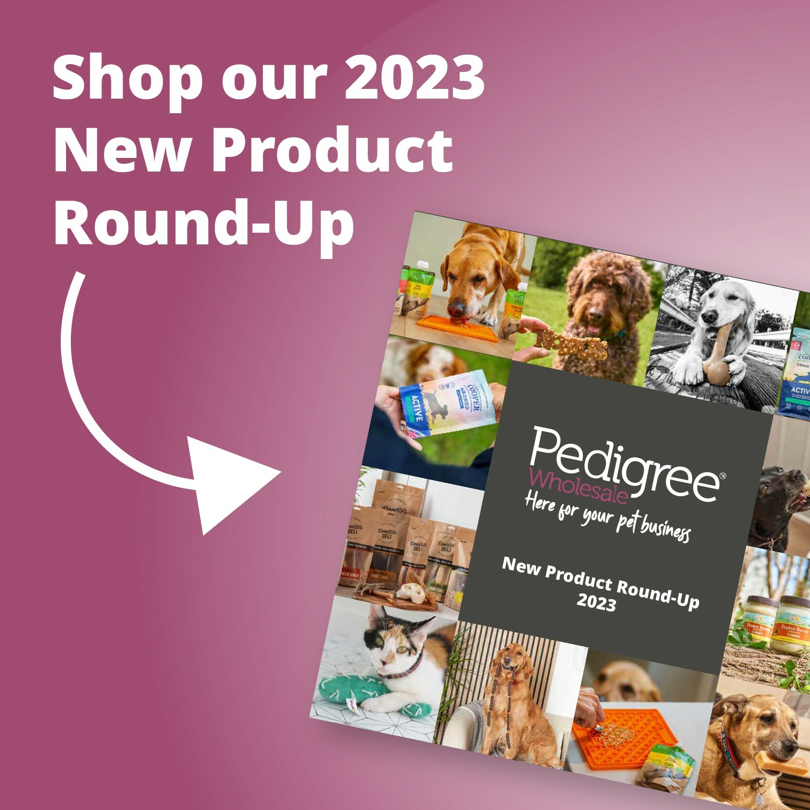 New Product Round Up 2023