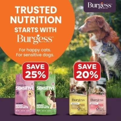 P11 Offers Burgess