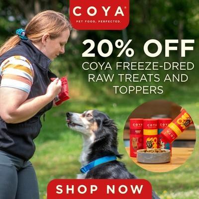 P11 Coya 20% Off