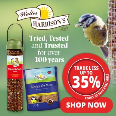 P13 Harrisons Offers