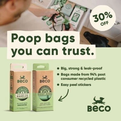 P10 Offers Beco