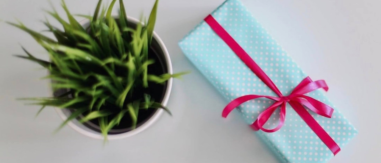 Gift hampers and plant gifts  same day delivery naracoorte