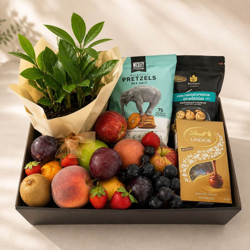 A gift tray with a plant, assortment of fruit, flat pretzels, chocolates and biscuits for delivery same-day in Naracoorte