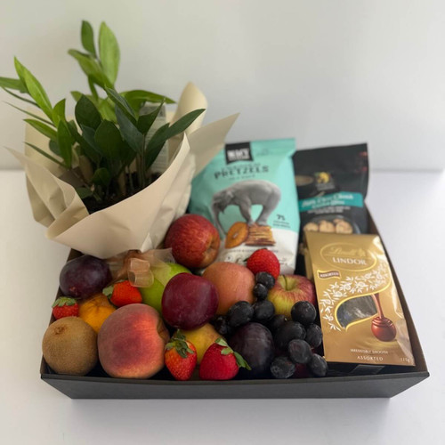 A gift tray with a plant, assortment of fruit, flat pretzels, chocolates and biscuits for delivery same-day Naracoorte