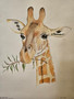 Hand drawn image of a giraffe eating leaves